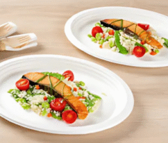 10 Bagasse Oval Plate (2560 x 1707 px)