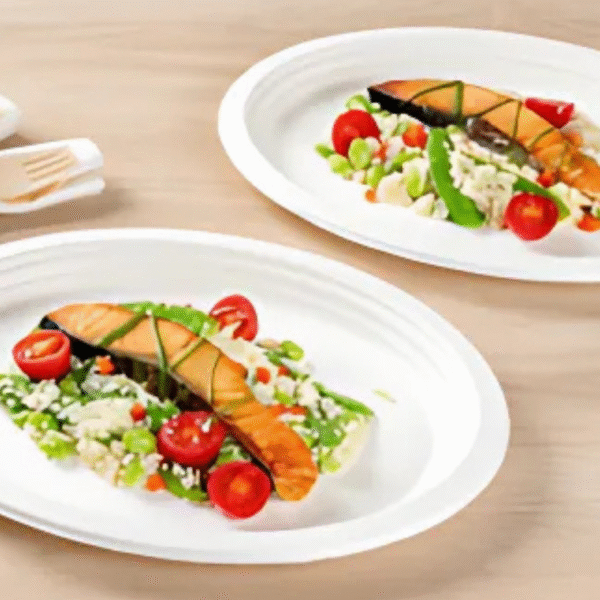 10 Bagasse Oval Plate (2560 x 1707 px)